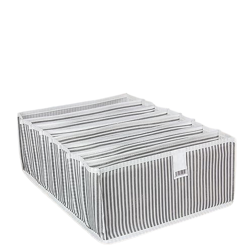 Akordiyon Organizer L