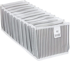 Akordiyon Organizer M