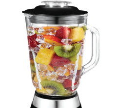 NEWAL Stand Blender & Kahve/Baharat Öğütücü