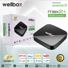 WELLBOX MAX2 4K Android Box