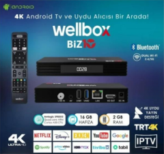 WELLBOX BiZ10 4K Android TV Box Uydu Alıcısı